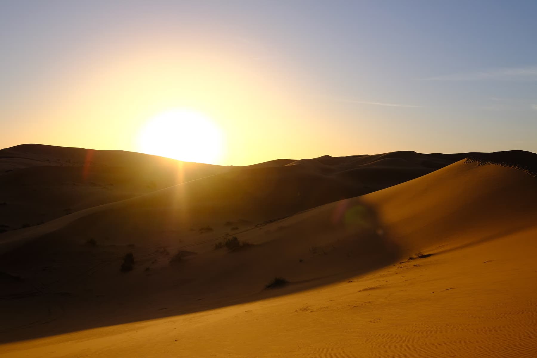 The Western Desert